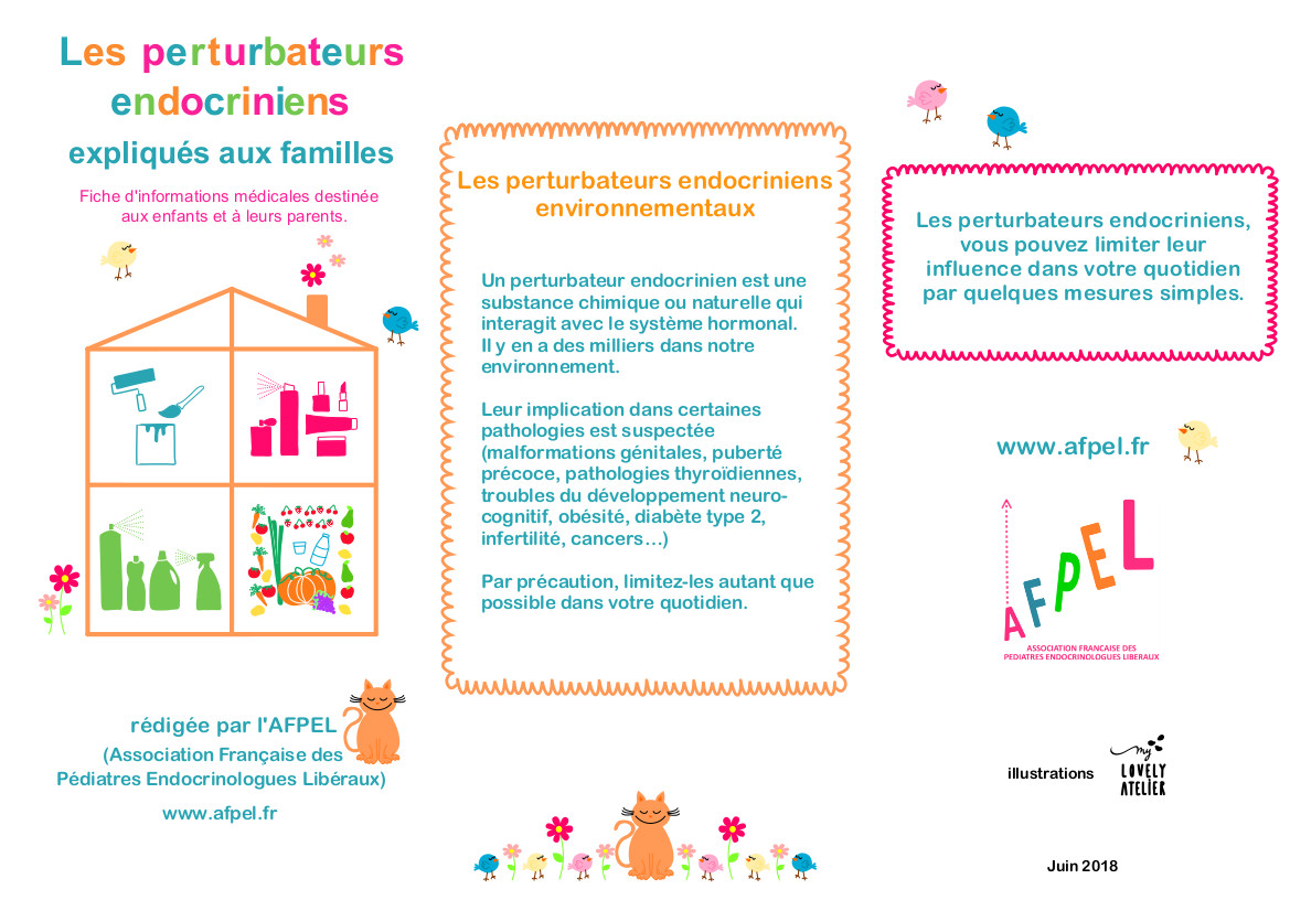 Perturbateurs endocriniens