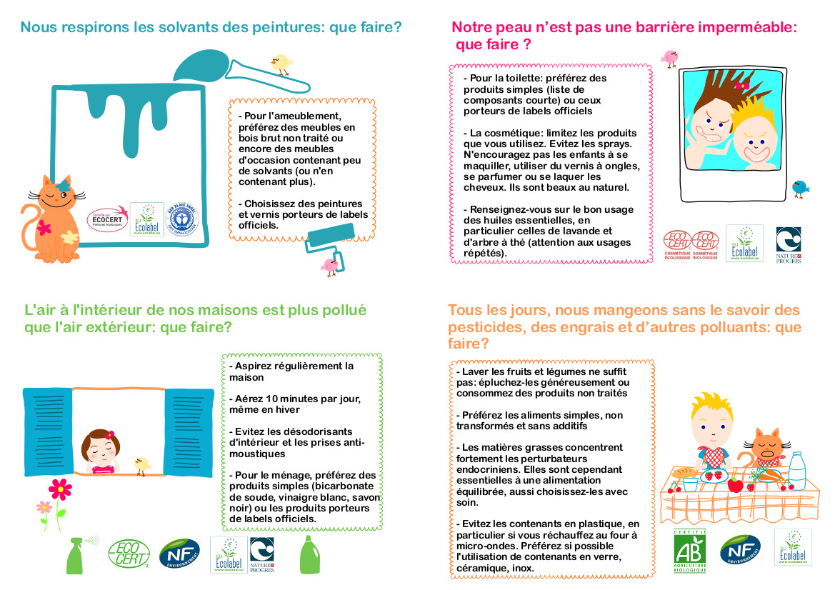 Perturbateurs endocriniens verso