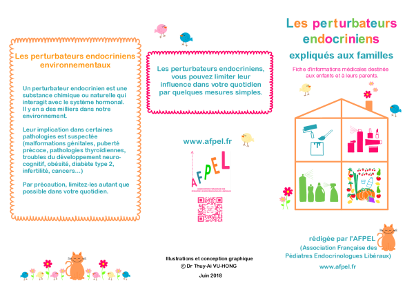 Perturbateurs endocriniens